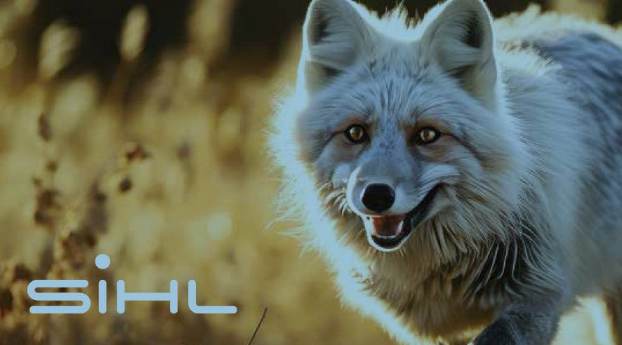 SIHL 3512 Silver Fox 11 Mil Block-Out,  Avail: 36"\42"\54" x 49.2 Feet      3" Core \ Two Sided Printing